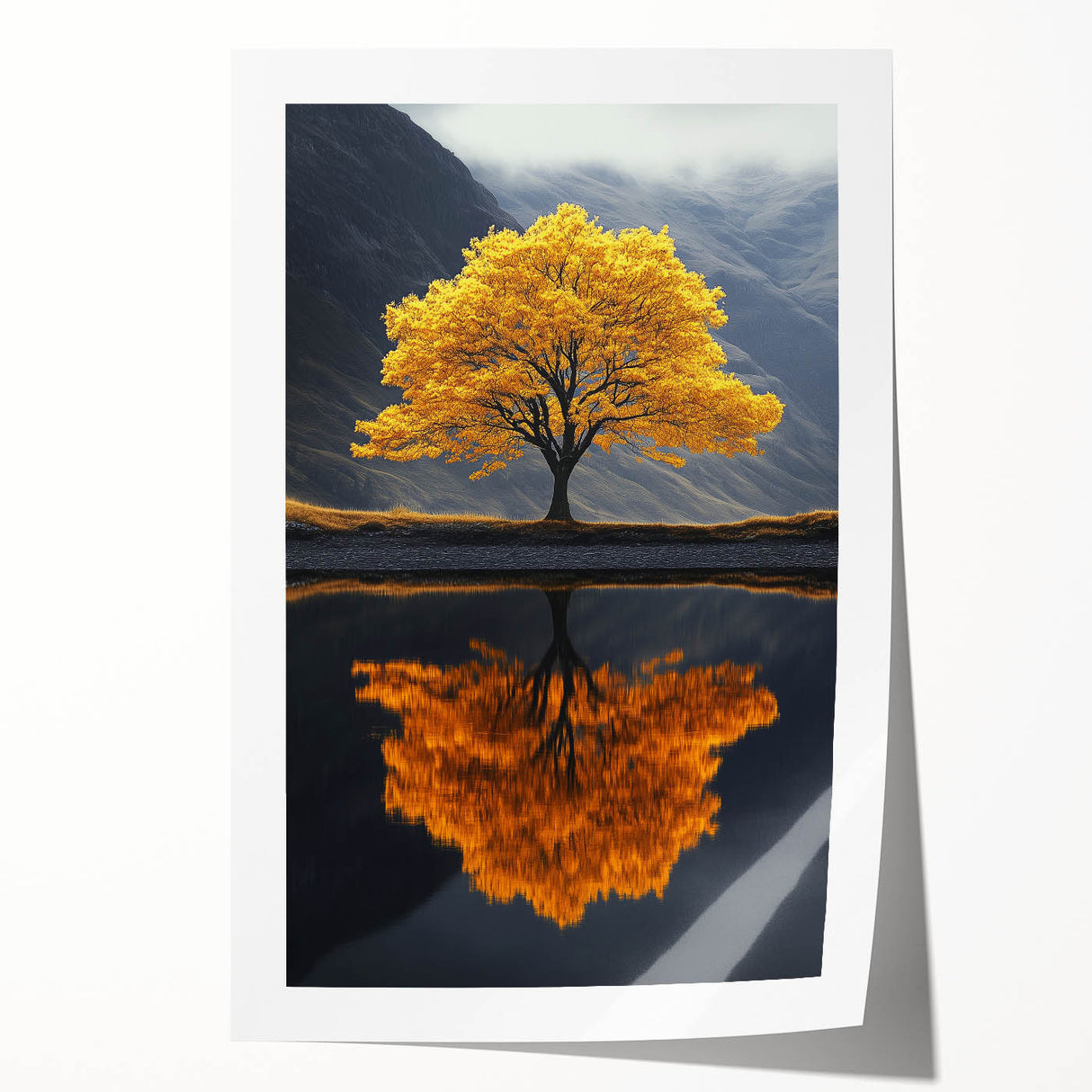 Golden Tree Reflection – Majestic Nature Art Print