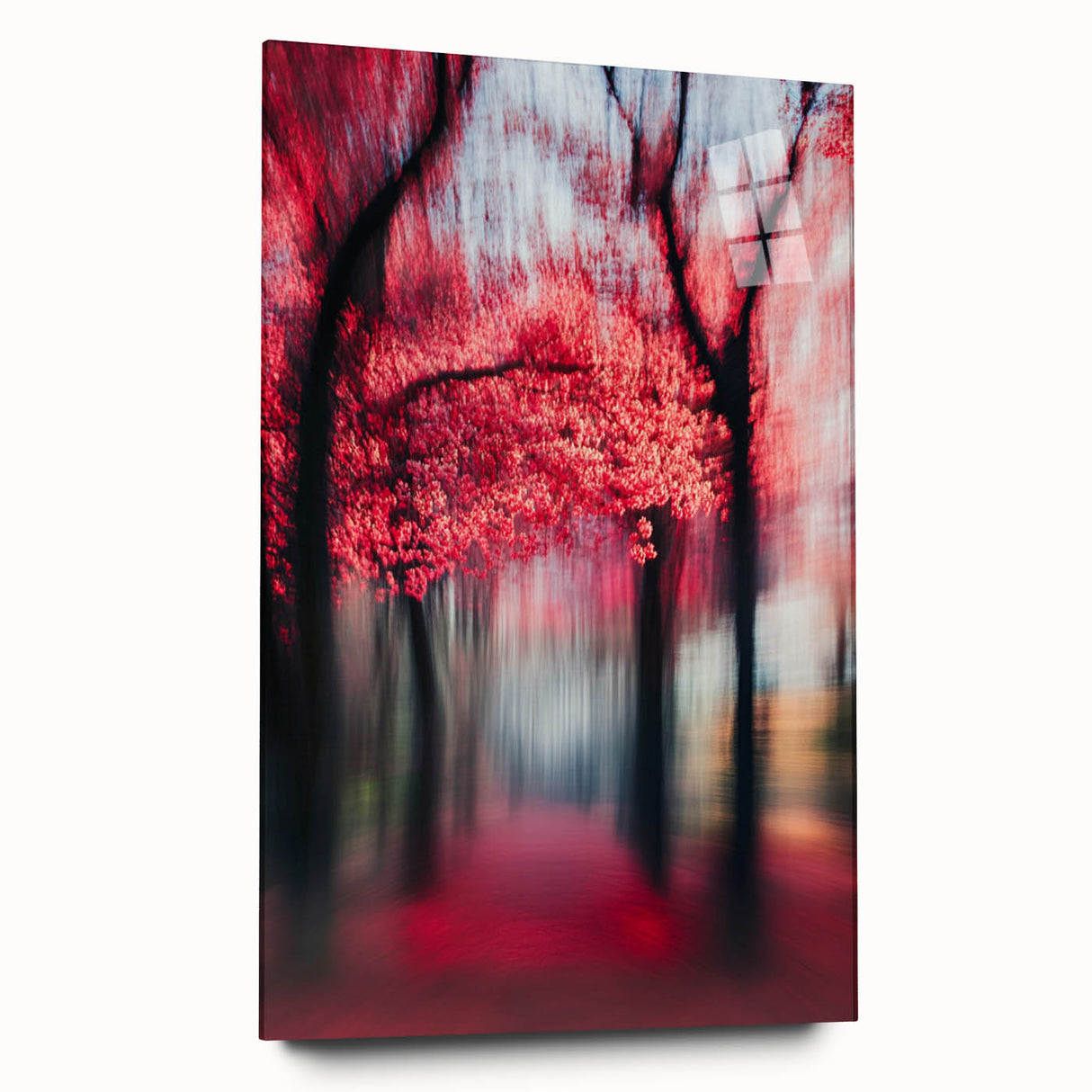 Blurred Red Forest - Fine Art Photography Limited Edition Prints