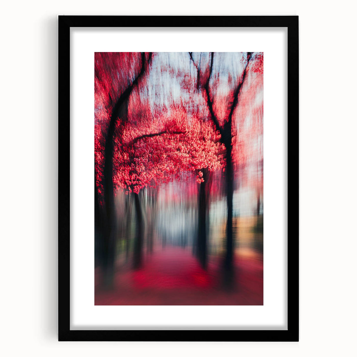 Blurred Red Forest - Fine Art Photography Limited Edition Prints