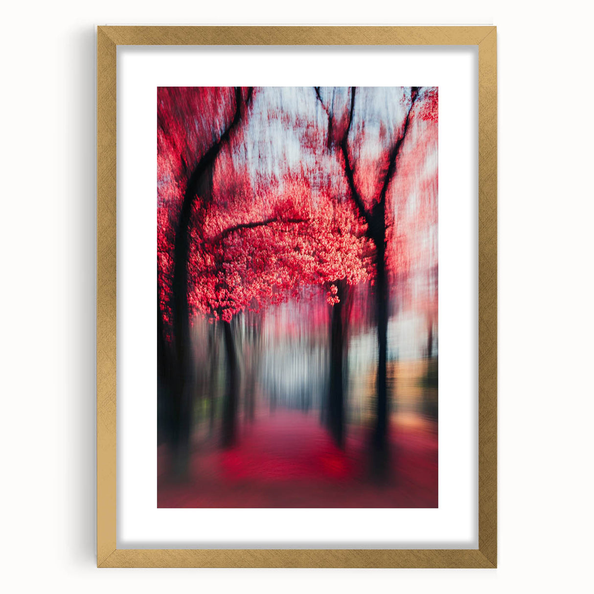 Blurred Red Forest - Fine Art Photography Limited Edition Prints