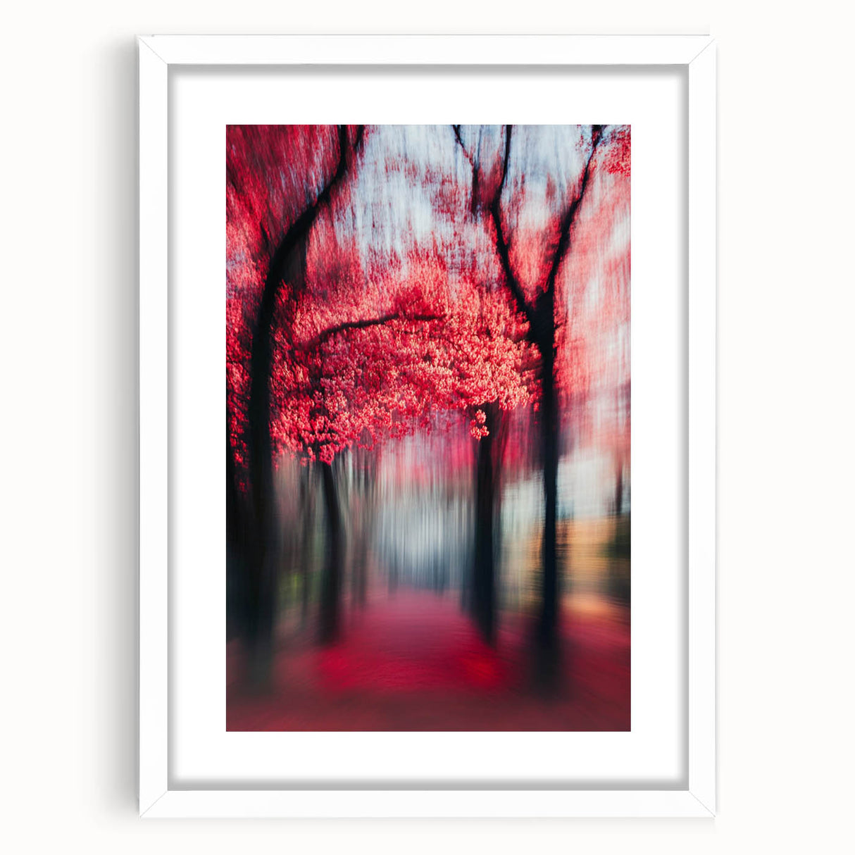 Blurred Red Forest - Fine Art Photography Limited Edition Prints
