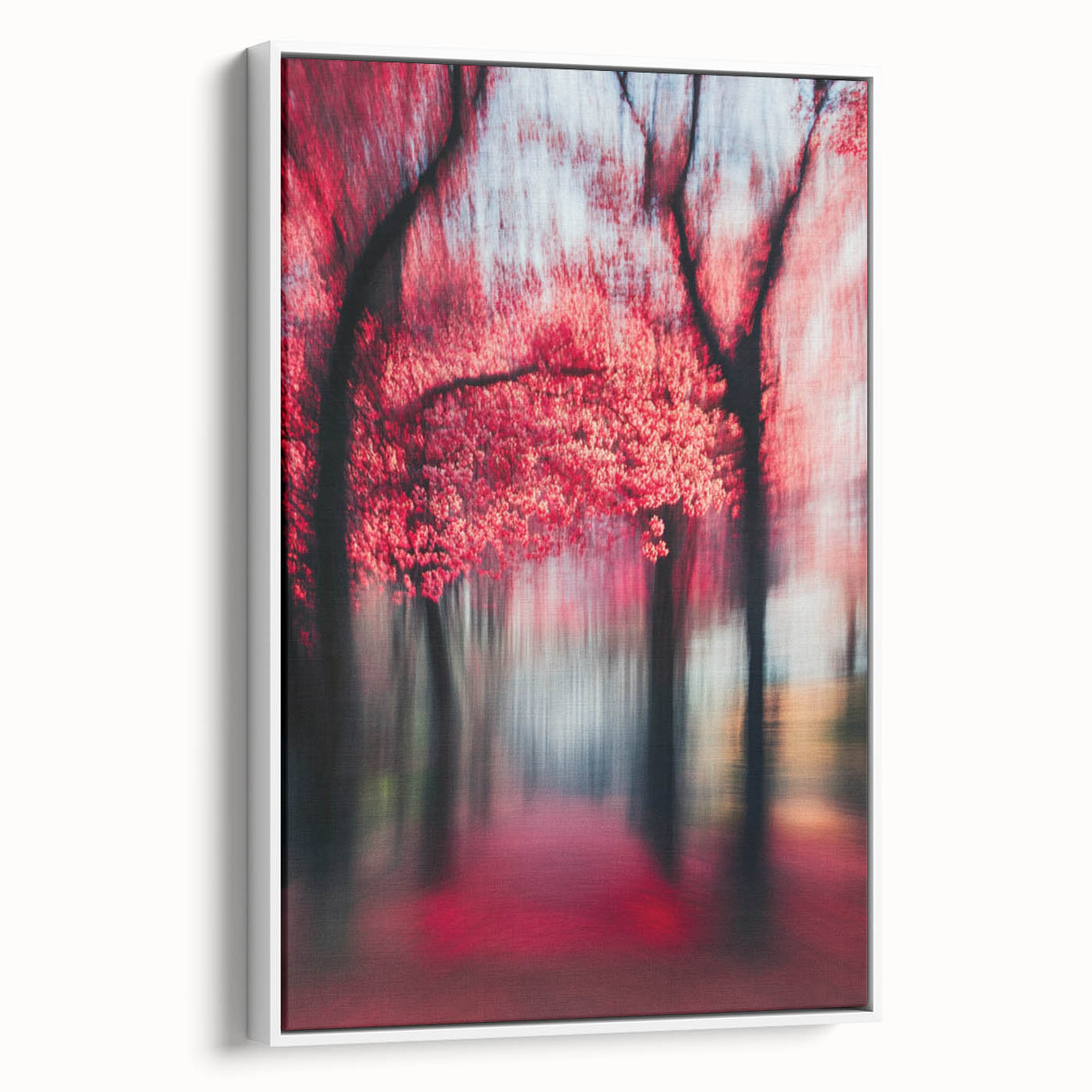 Blurred Red Forest - Fine Art Photography Limited Edition Prints