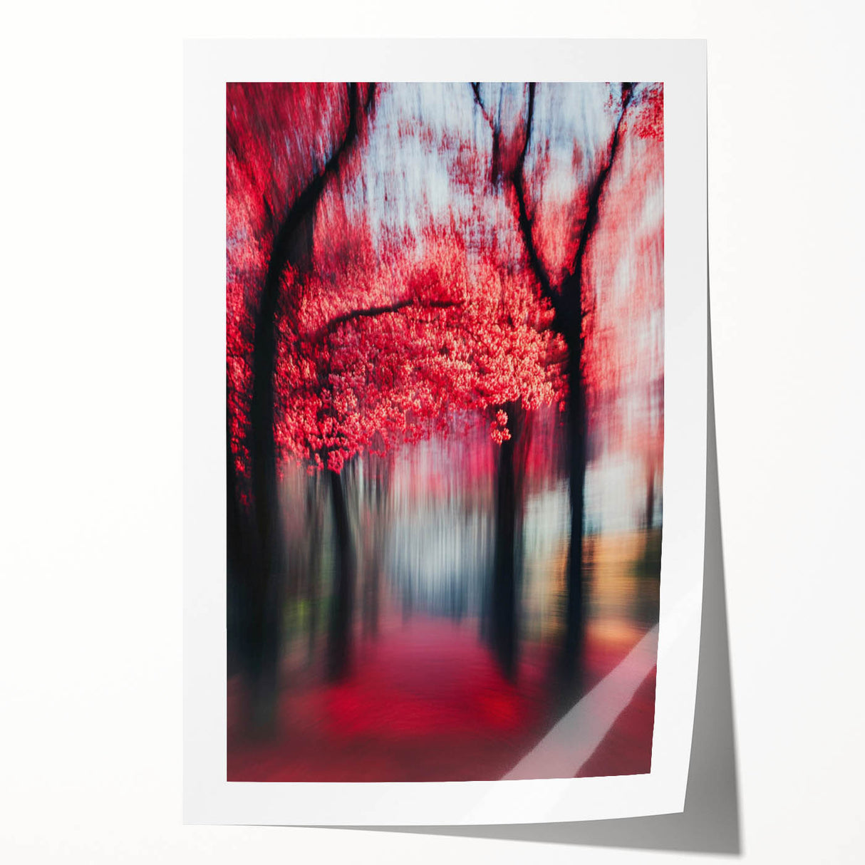 Blurred Red Forest - Fine Art Photography Limited Edition Prints