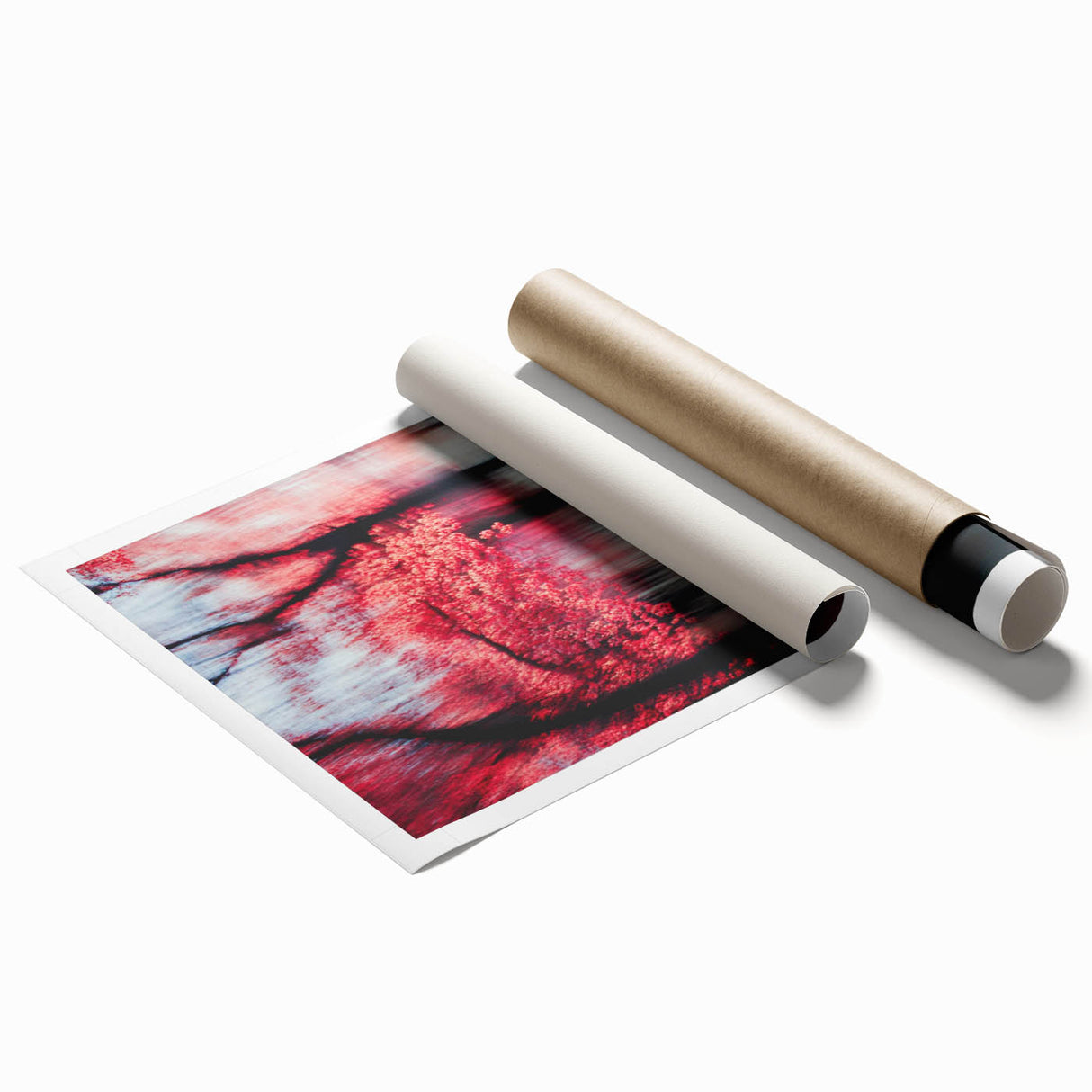 Blurred Red Forest - Fine Art Photography Limited Edition Prints