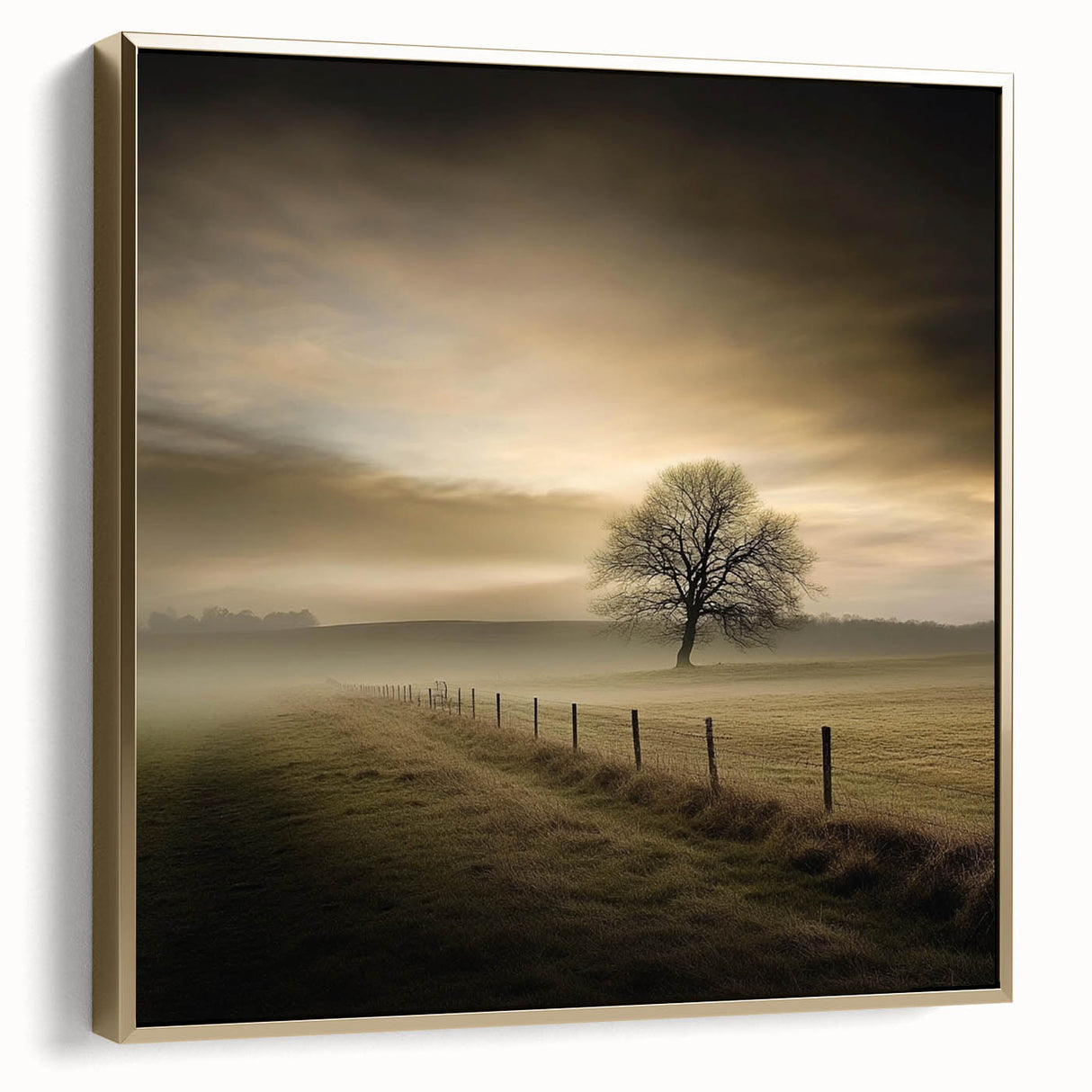 Misty Countryside Tree - Fine Art Photography Framed Prints