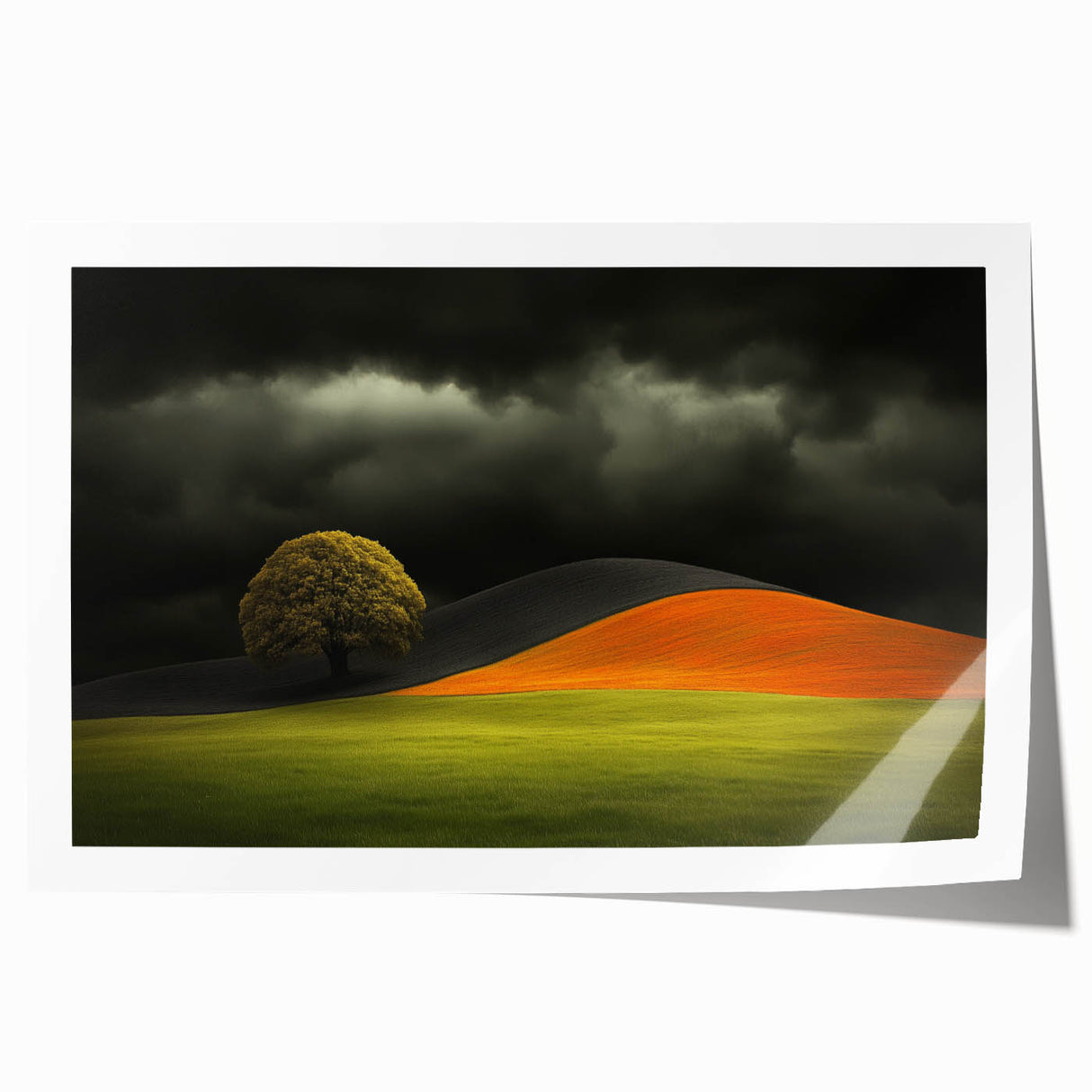 Dramatic Hillside Tree - Fine Art Photography Canvas Prints