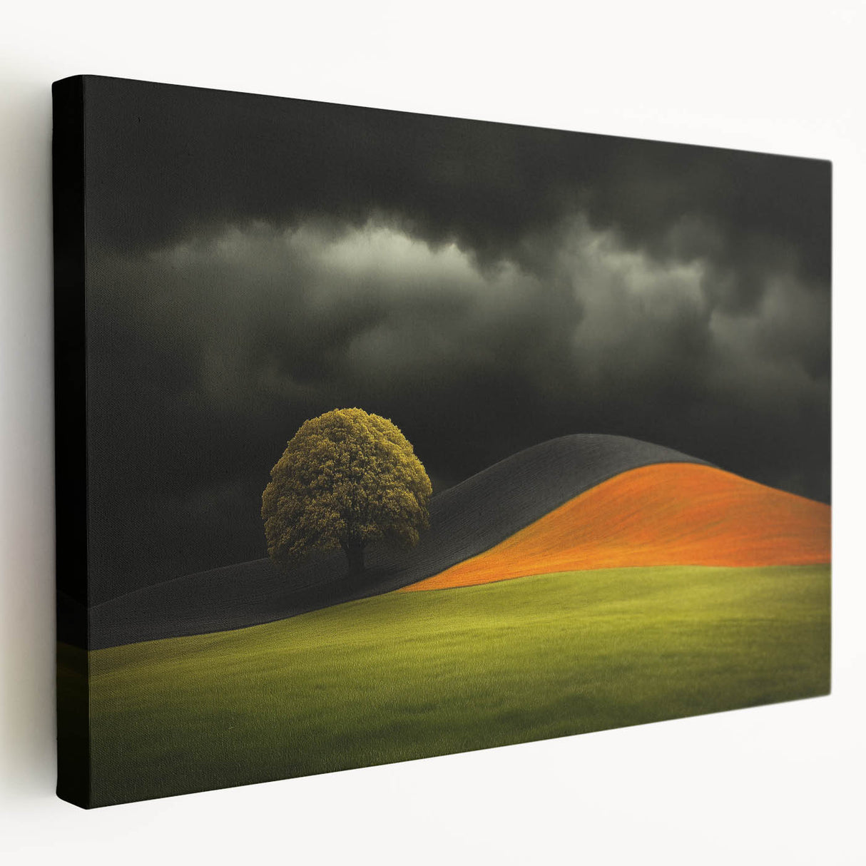 Dramatic Hillside Tree - Fine Art Photography Canvas Prints