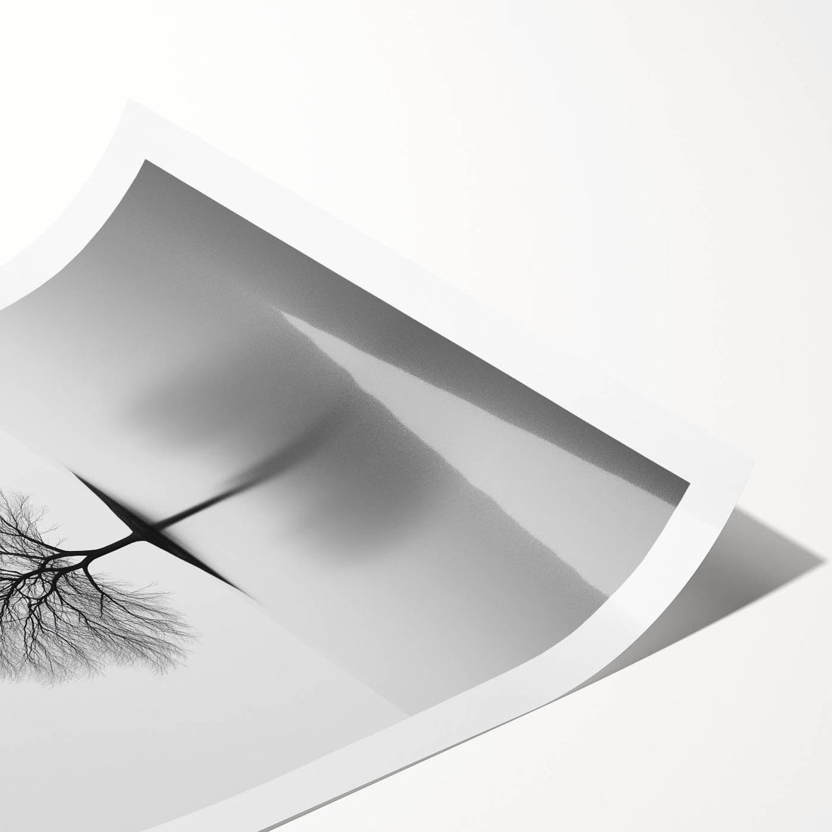 Minimalist Black & White Tree – Elegant Nature Art Print