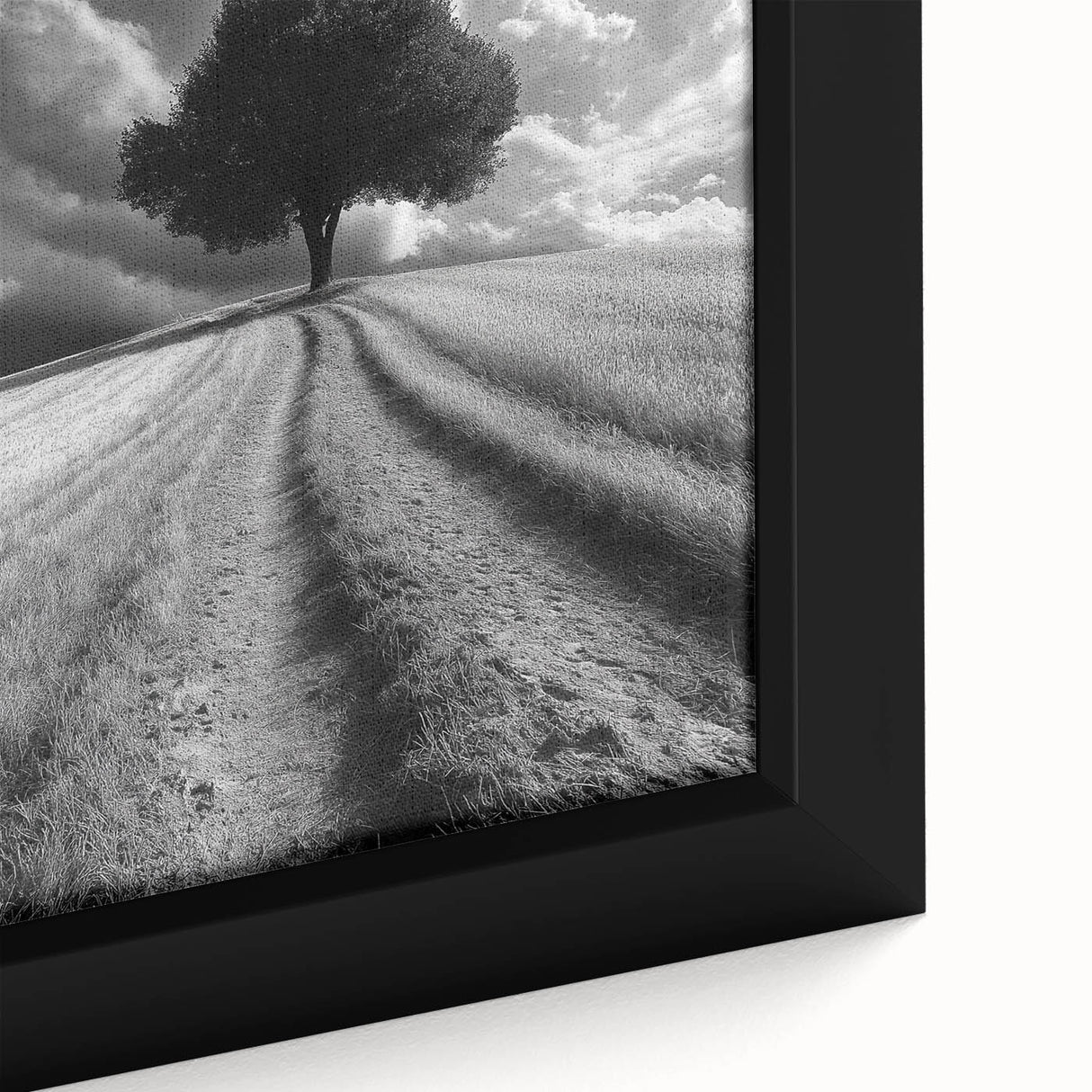 Dramatic Lone Tree - Fine Art Photography Metal Prints