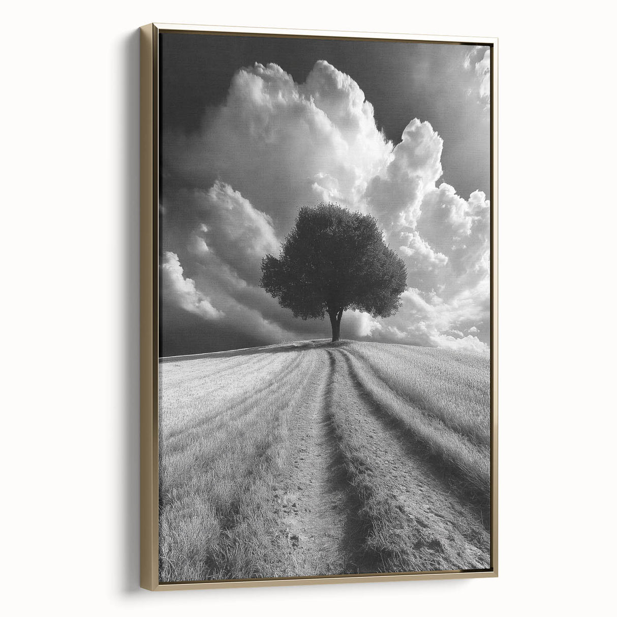 Dramatic Lone Tree - Fine Art Photography Metal Prints