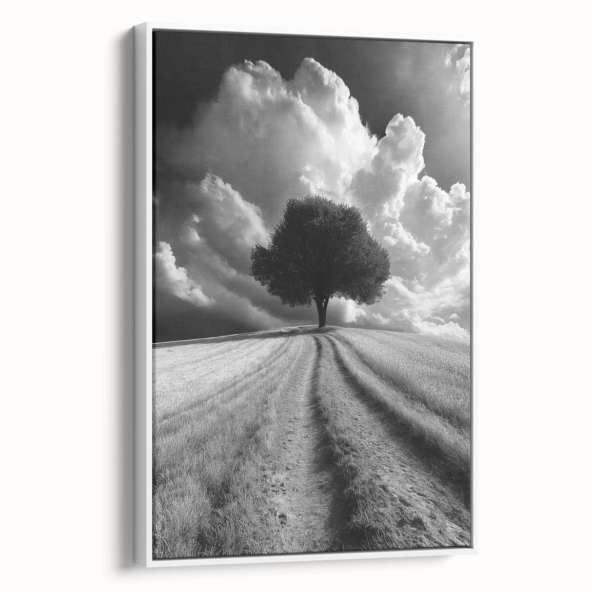 Dramatic Lone Tree - Fine Art Photography Metal Prints