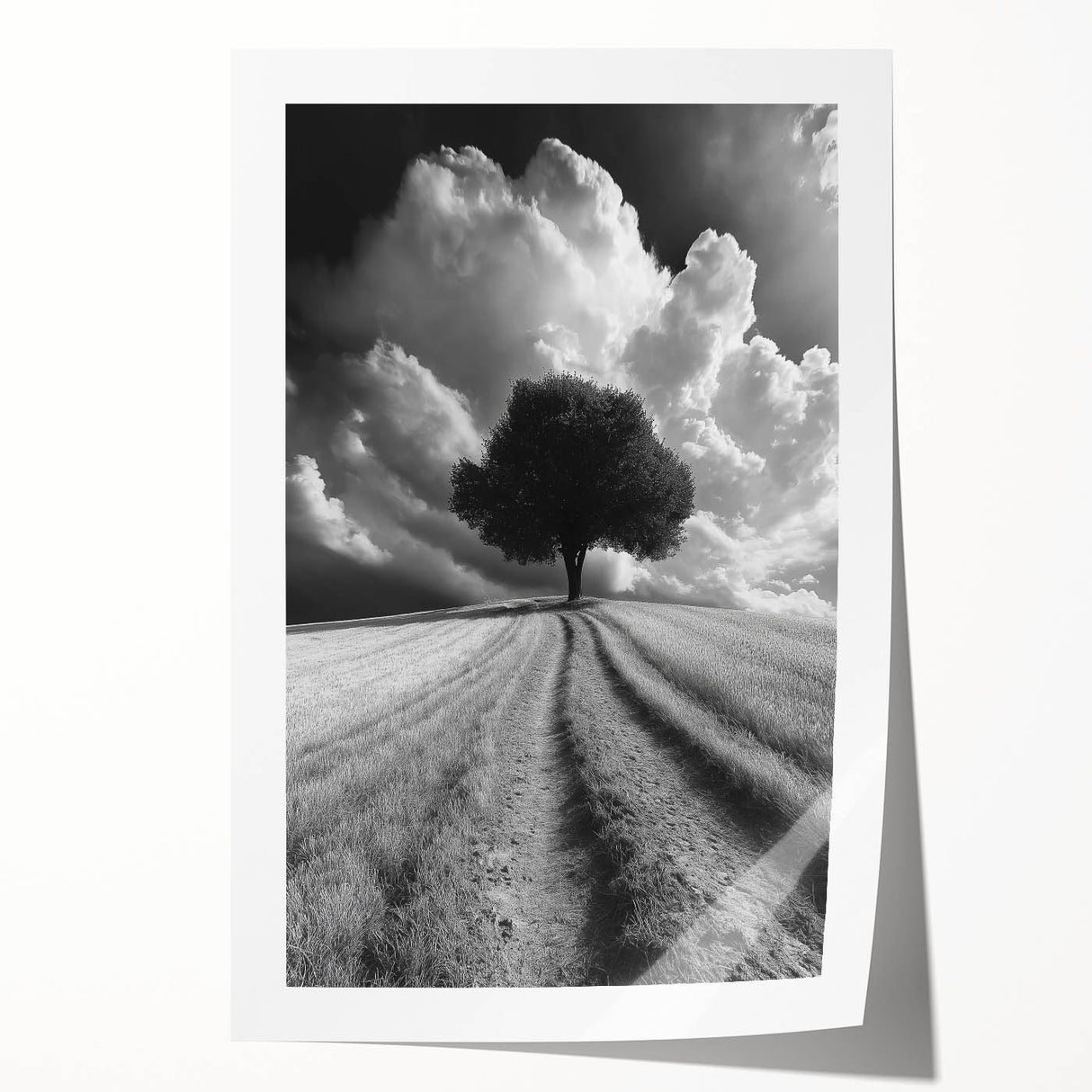 Dramatic Lone Tree - Fine Art Photography Metal Prints