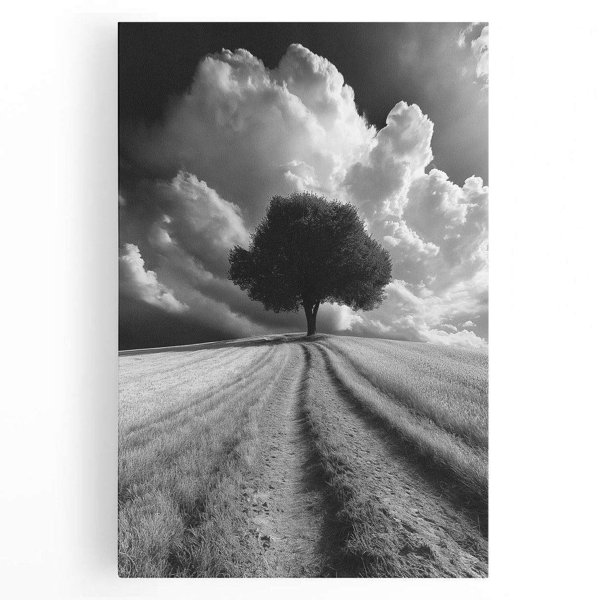 Dramatic Lone Tree - Fine Art Photography Metal Prints