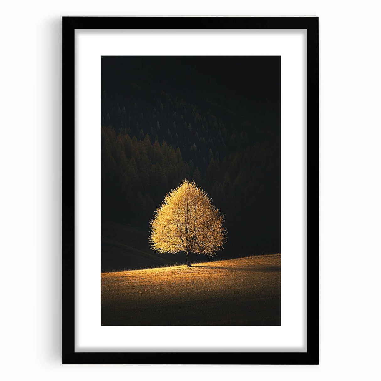 Golden Tree in Spotlight – Majestic Nature Art Print