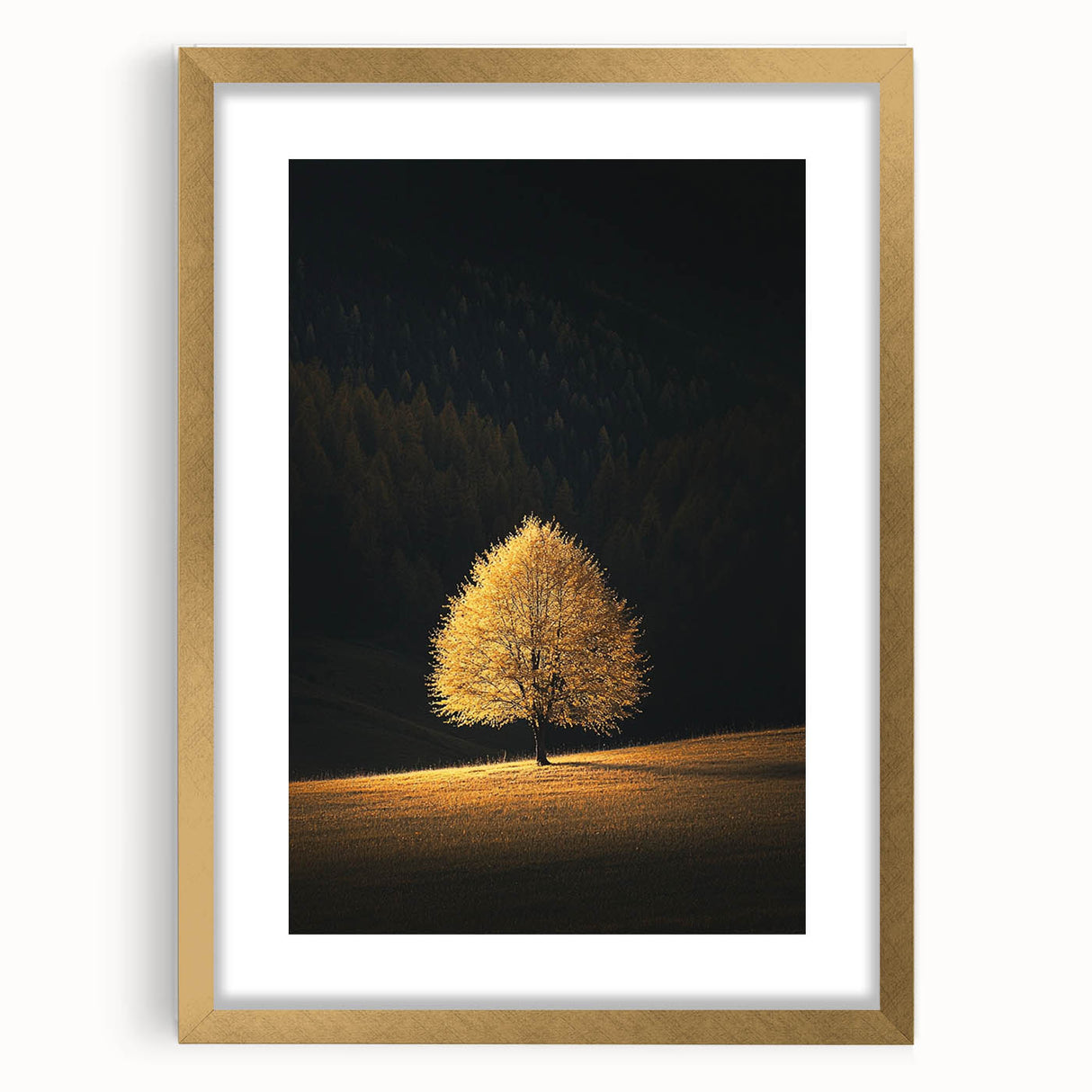 Golden Tree in Spotlight – Majestic Nature Art Print