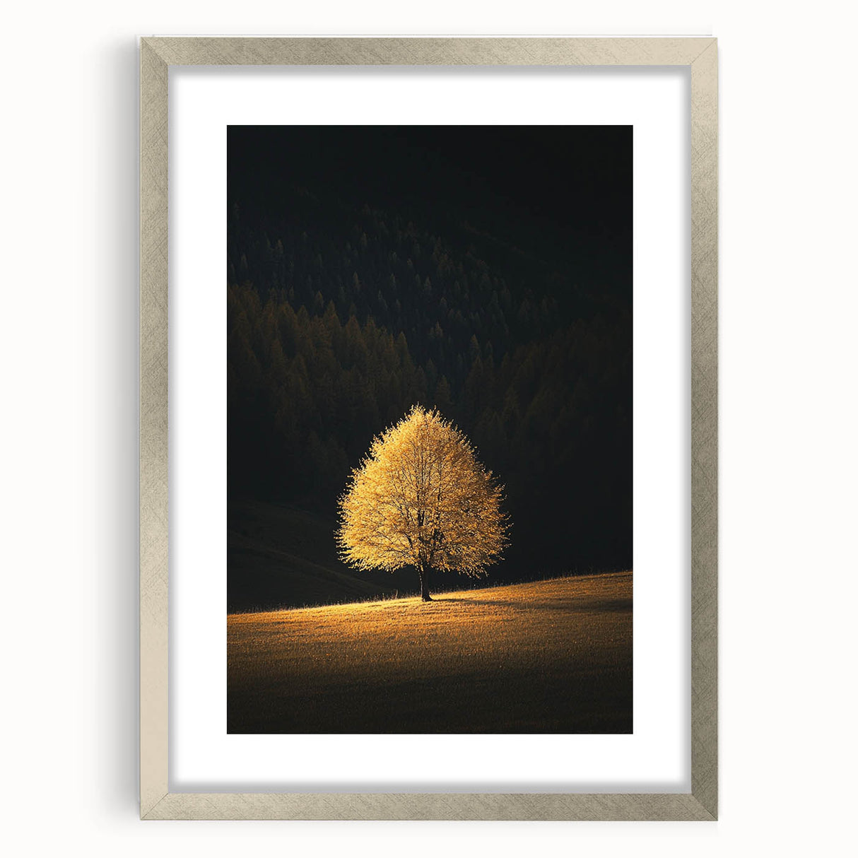 Golden Tree in Spotlight – Majestic Nature Art Print