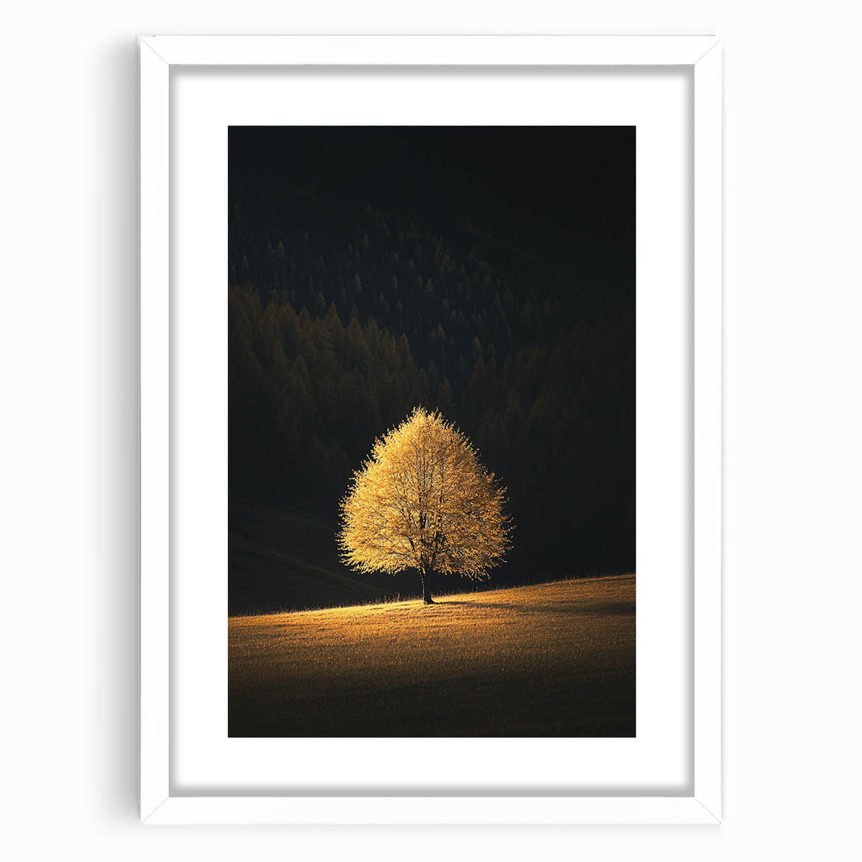 Golden Tree in Spotlight – Majestic Nature Art Print