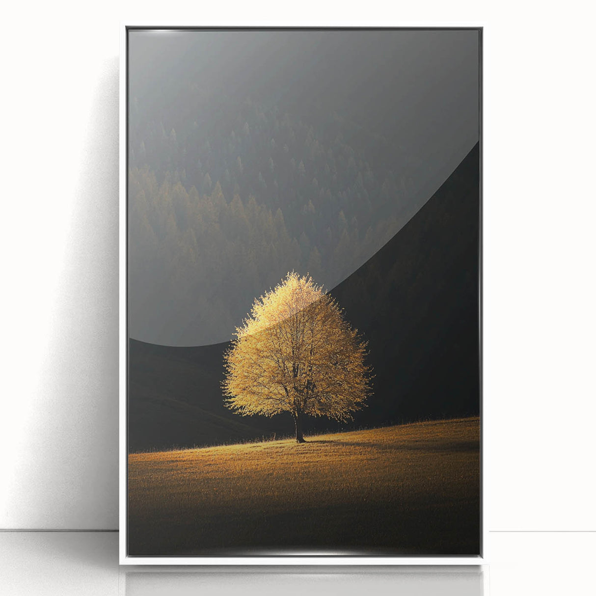 Golden Tree in Spotlight – Majestic Nature Art Print