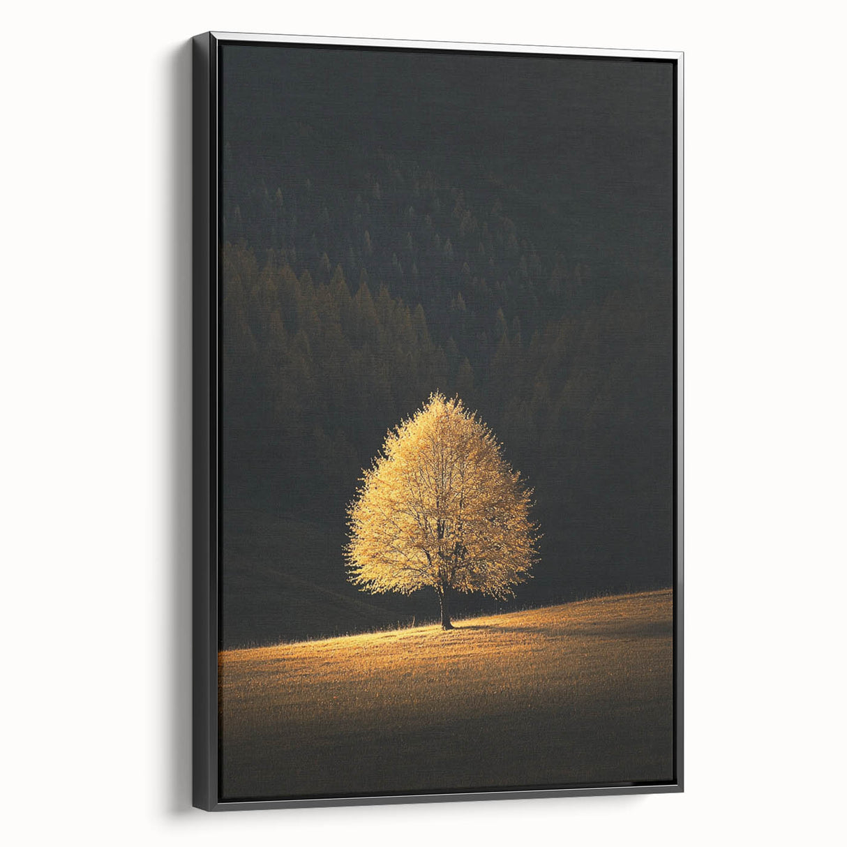 Golden Tree in Spotlight – Majestic Nature Art Print