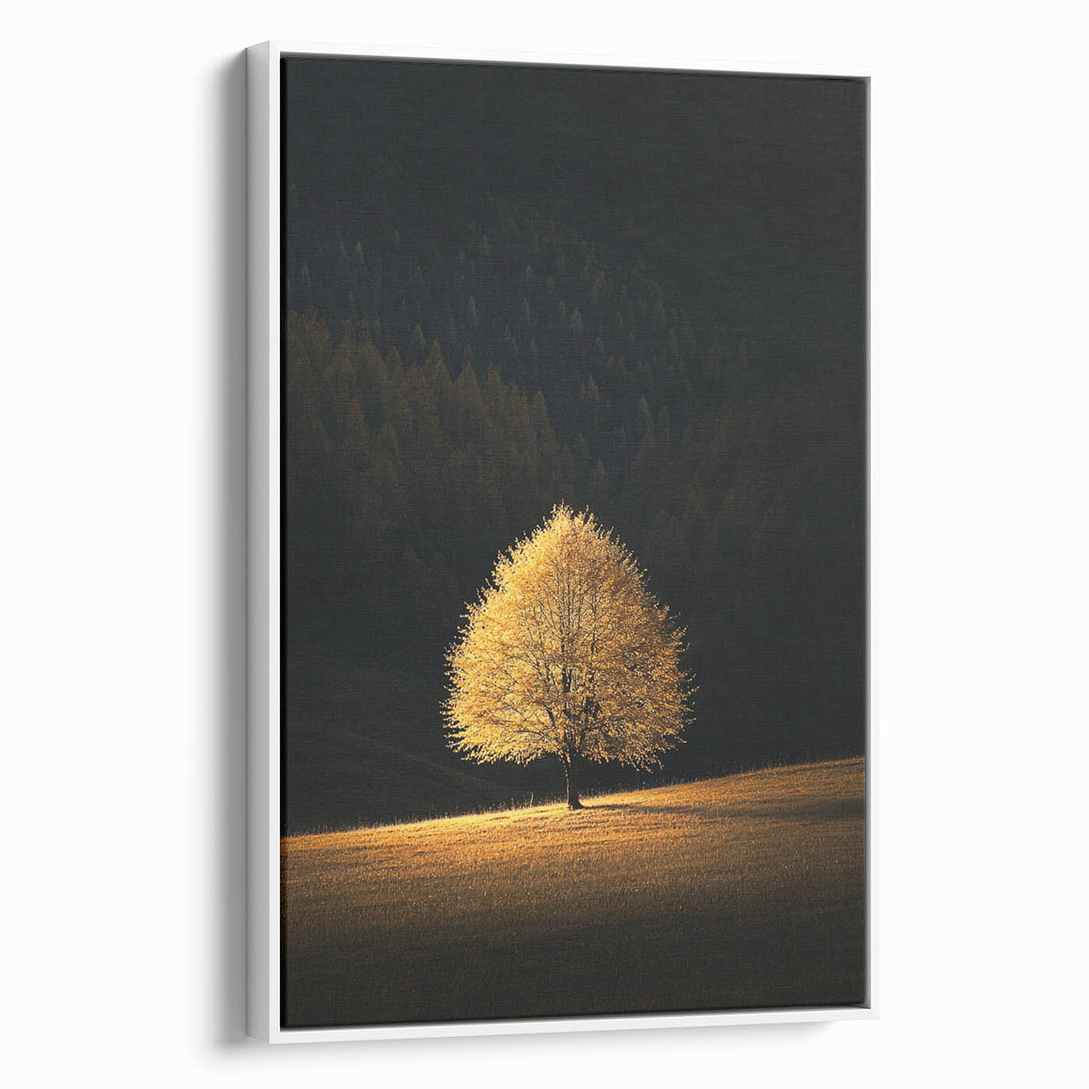 Golden Tree in Spotlight – Majestic Nature Art Print
