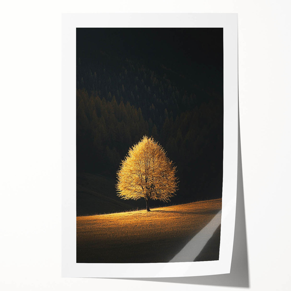 Golden Tree in Spotlight – Majestic Nature Art Print