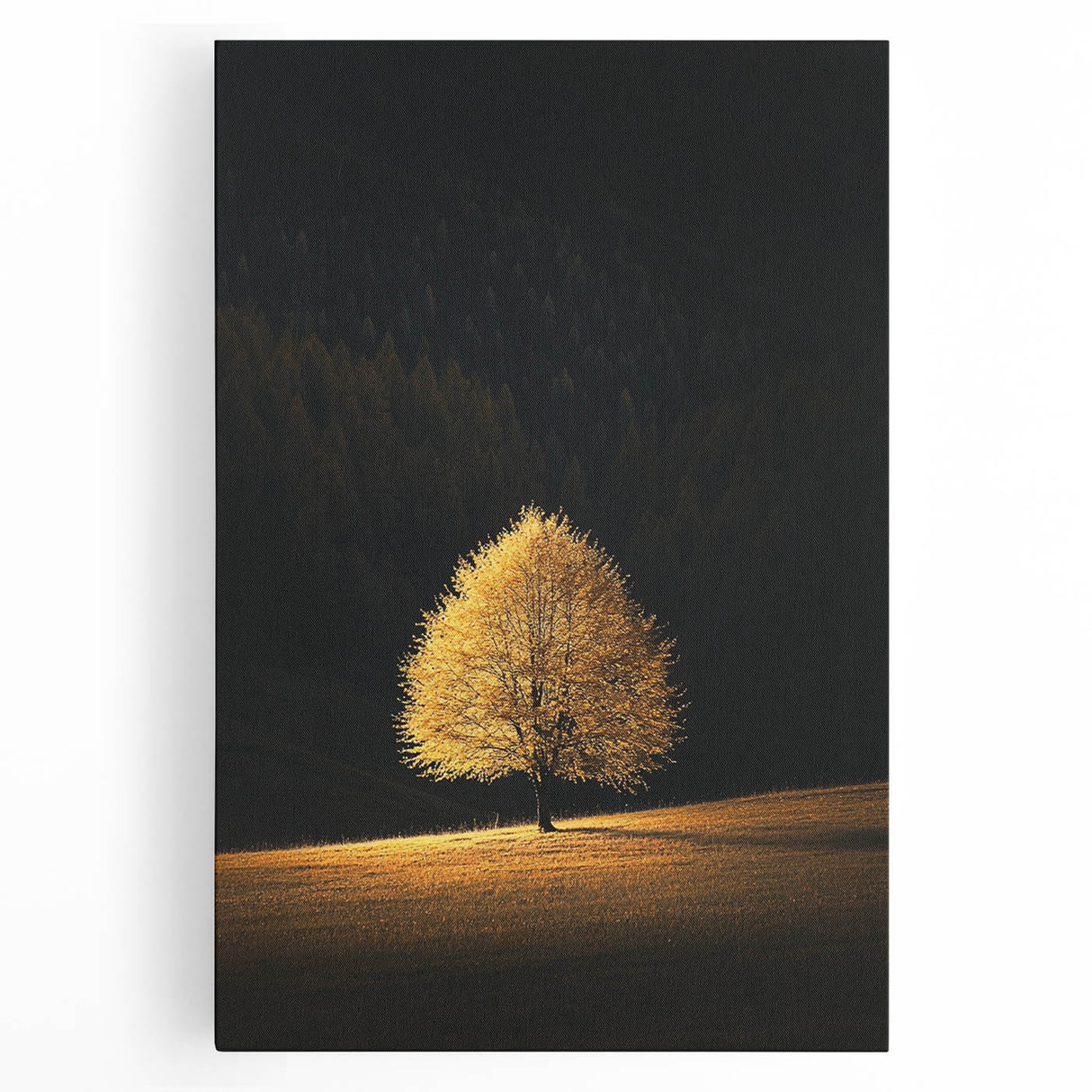 Golden Tree in Spotlight – Majestic Nature Art Print