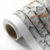 Birch Tree Watercolor – Elegant Botanical Wall Art Print