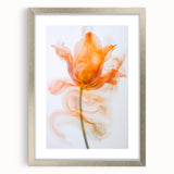 Ethereal Tulip in Motion - Fine Art Photography Framed Prints