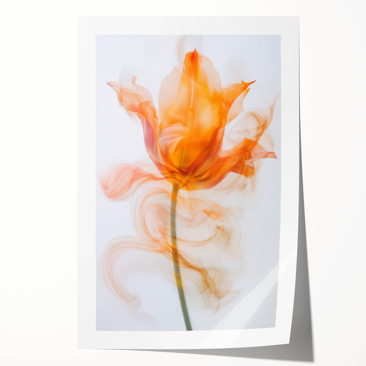 Ethereal Tulip in Motion - Fine Art Photography Framed Prints