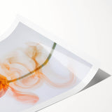 Ethereal Tulip in Motion - Fine Art Photography Framed Prints