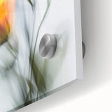 Vibrant Tulip Trio - Fine Art Photography Limited Edition Prints