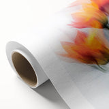 Vibrant Tulip Trio - Fine Art Photography Limited Edition Prints