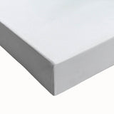 Vibrant Tulip Trio - Fine Art Photography Limited Edition Prints