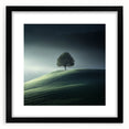 Misty Hilltop Tree - Fine Art Photography Framed Prints