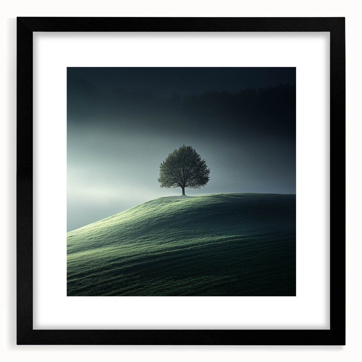 Misty Hilltop Tree - Fine Art Photography Framed Prints