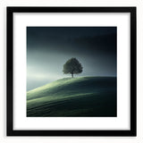 Misty Hilltop Tree - Fine Art Photography Framed Prints