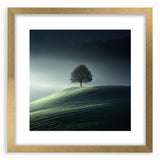 Misty Hilltop Tree - Fine Art Photography Framed Prints