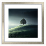Misty Hilltop Tree - Fine Art Photography Framed Prints