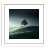 Misty Hilltop Tree - Fine Art Photography Framed Prints