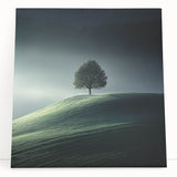Misty Hilltop Tree - Fine Art Photography Framed Prints