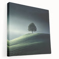 Misty Hilltop Tree - Fine Art Photography Framed Prints