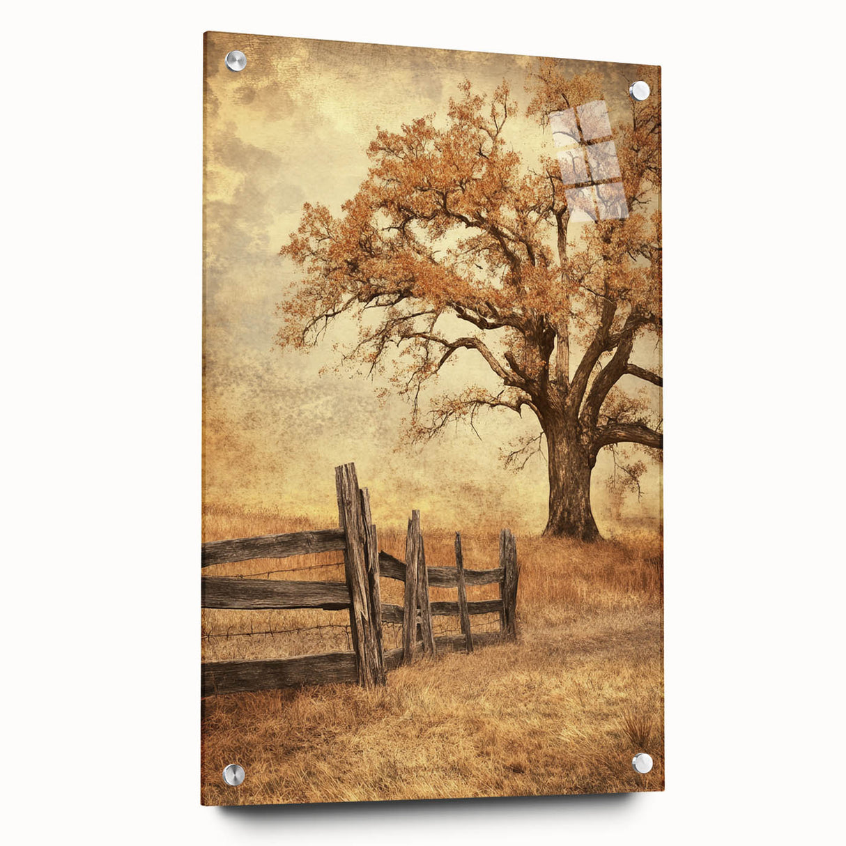 Rustic Autumn Tree - Fine Art Photography Framed Prints
