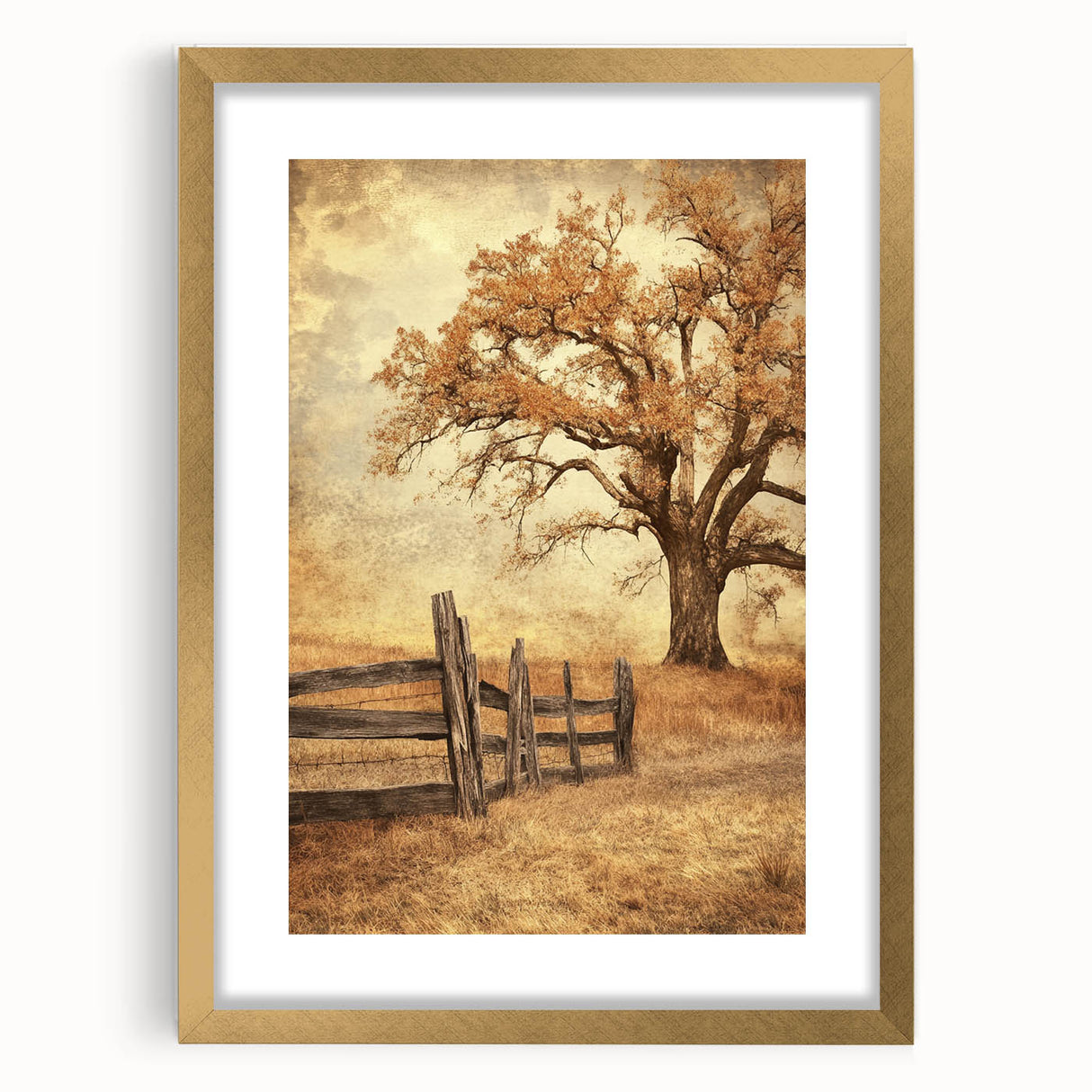 Rustic Autumn Tree - Fine Art Photography Framed Prints