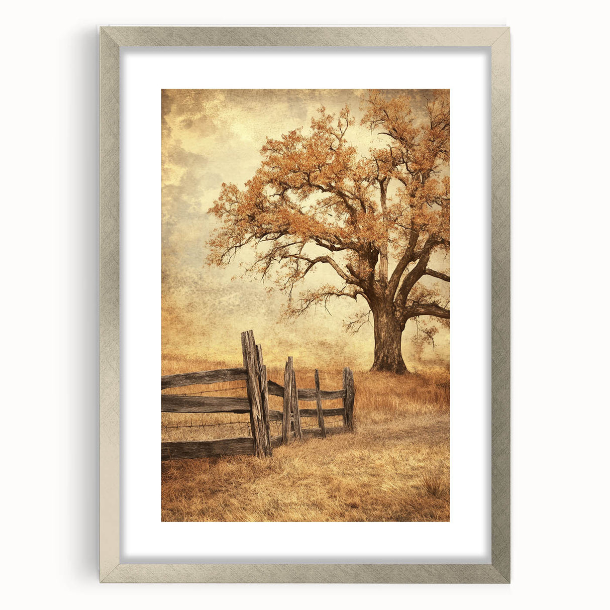 Rustic Autumn Tree - Fine Art Photography Framed Prints