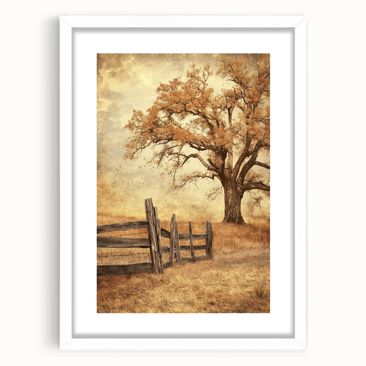 Rustic Autumn Tree - Fine Art Photography Framed Prints