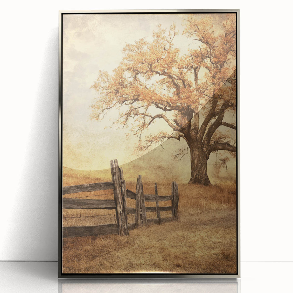 Rustic Autumn Tree - Fine Art Photography Framed Prints