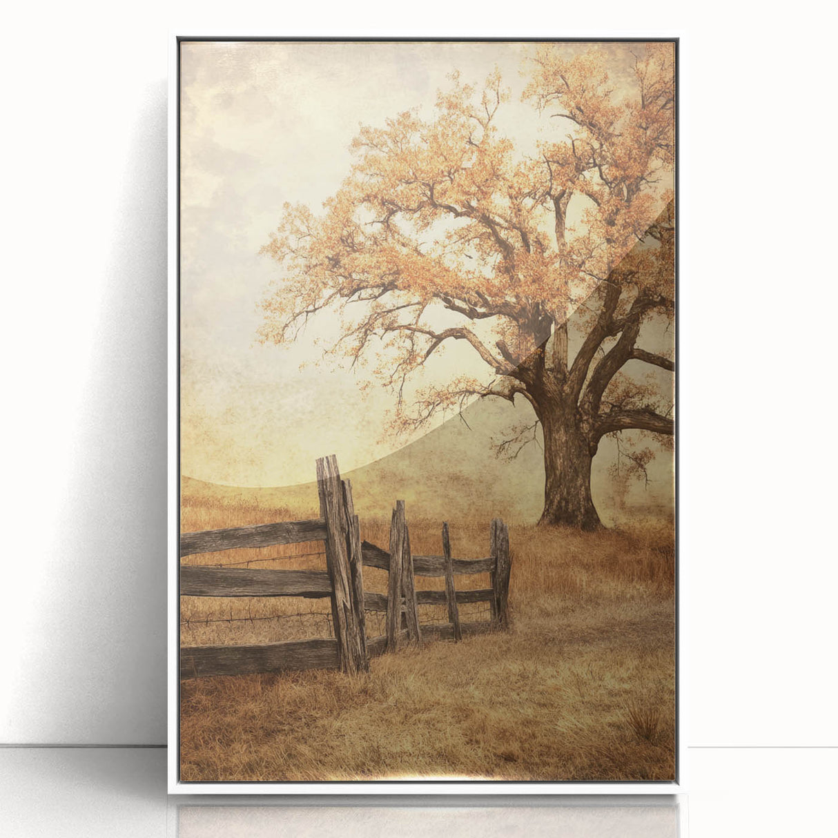 Rustic Autumn Tree - Fine Art Photography Framed Prints