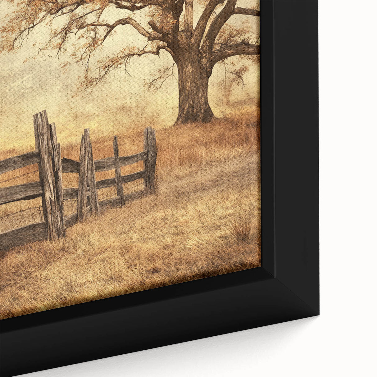 Rustic Autumn Tree - Fine Art Photography Framed Prints
