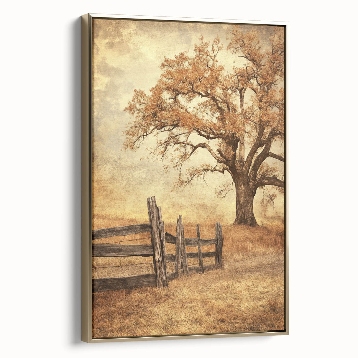 Rustic Autumn Tree - Fine Art Photography Framed Prints