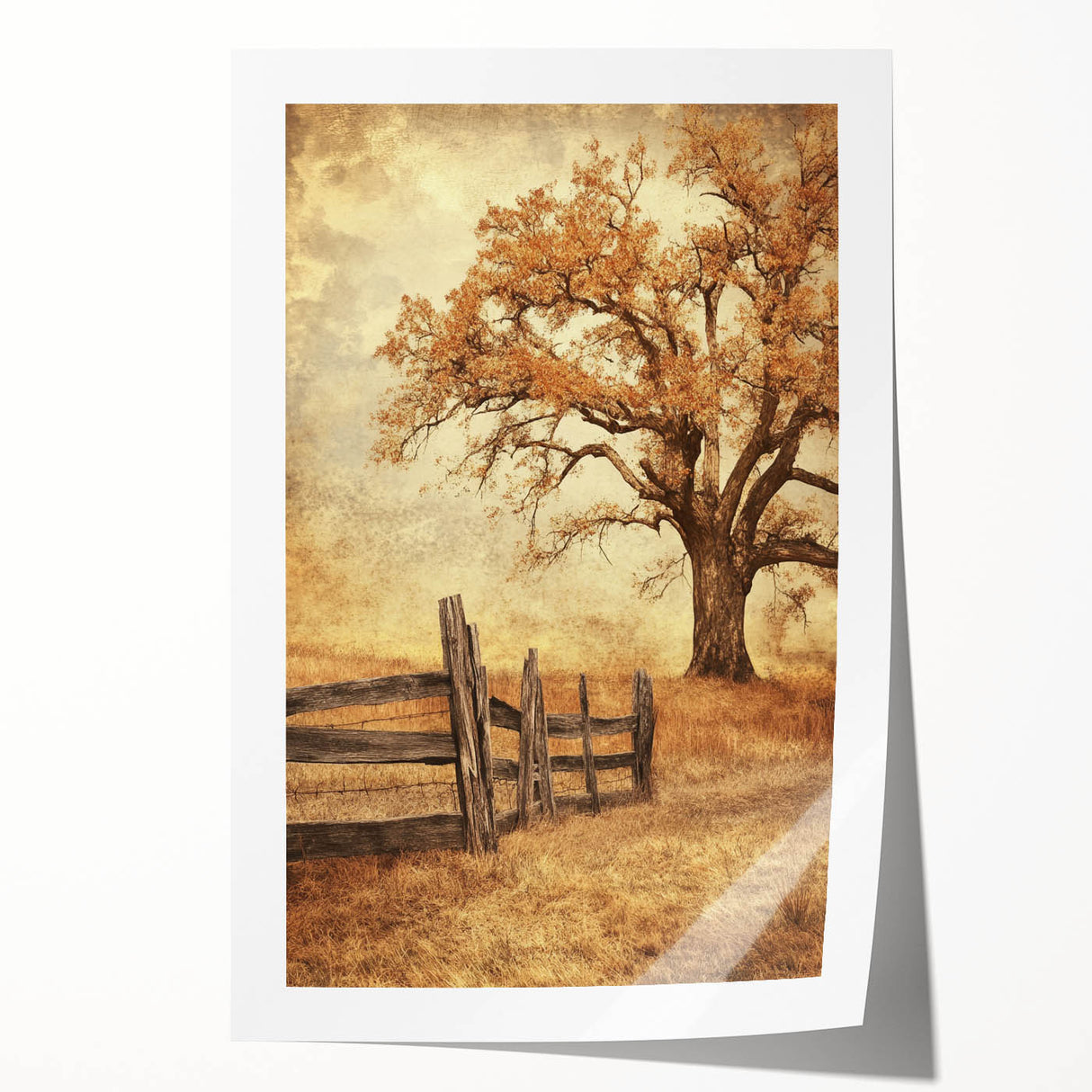 Rustic Autumn Tree - Fine Art Photography Framed Prints